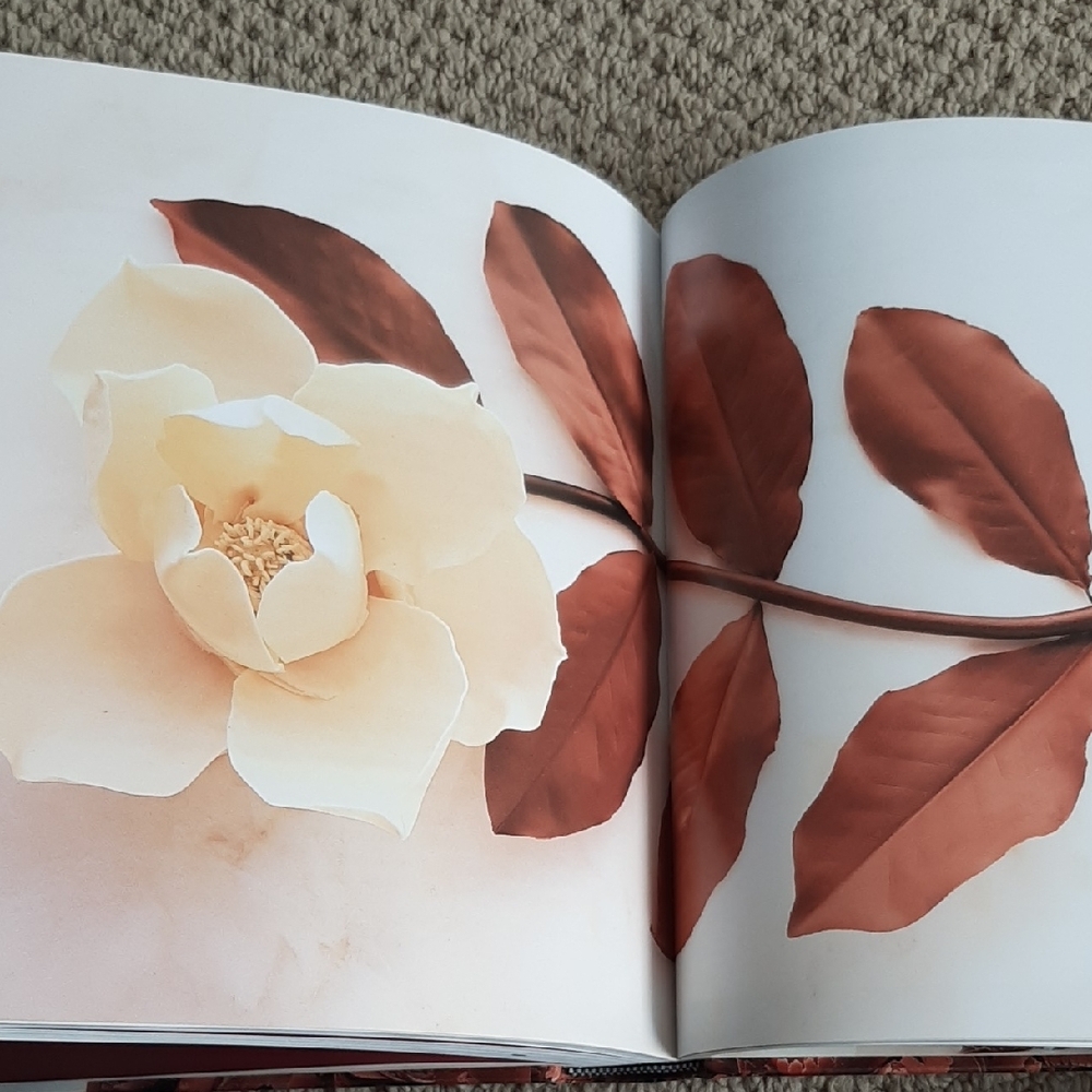 Chocolate Cookbook by Nick Malgieri - Picture 12 of 16